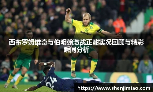 西布罗姆维奇与伯明翰激战正酣实况回顾与精彩瞬间分析