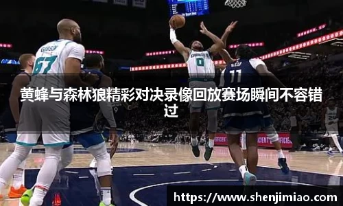 黄蜂与森林狼精彩对决录像回放赛场瞬间不容错过